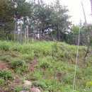 덕풍 2농장 이미지