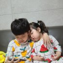 컷트하다