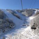 월드종합할인마트 이미지