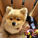 닭갈비천국 이미지