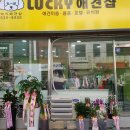 Lucky 애견샵 네이버블로그