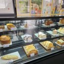 커피와소나무 | 함안 가야읍 자연속 한적한 카페 커피와소나무 솔직후기