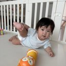 가뉴스킨거꾸로가는시간 | 9개월 여아 디자인스킨 플레이테이블 시기 맞게 사는 방법 및 할인가 구매팁