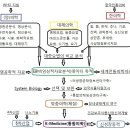 6차산업을 응용한 K-Medicine을 국가신성장동력으로 이미지