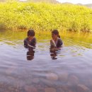 금소생태공원1 이미지