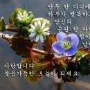 어은돌힐링야영장