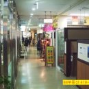 강산에청과