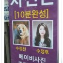 수정-114 이미지