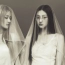 더블유라이프