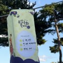 대전유성우체국 | [축제] 대전 유성국화축제 2025 in 유림공원 🌼 대전 가볼만한 곳 / 대전 데이트 / 대전 나들이