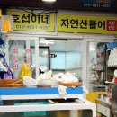 석정호 | 속초횟집 설악항활어회센터 호섭이네 / 포장회 추천 양양자연산회