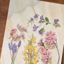 [백석]수채화 이미지