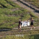 연수비상-6호 경향신문