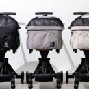 루루강아지 이미지