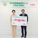 슈올즈 이미지