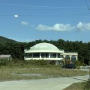드로핀