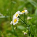 이안병원 이미지