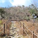 지리산 단풍비 이미지