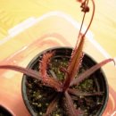 아델라농장 이미지