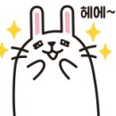 에스티헤어(ST헤어) 이미지