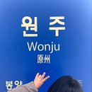 1984.분식 | 원주 여행 필수코스 자유시장 신혼부부 또간집 1등 가성비 분식 끝판왕
