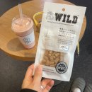 견고하개 이미지