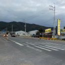 모메존꽁보리밥 티스토리