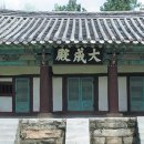 숲속의화이트캐슬 이미지