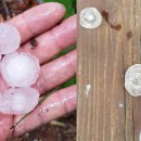 우박이네 이미지