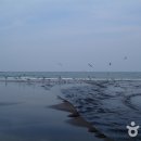 삼양검은모래해변 이미지