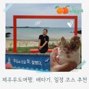 두문포 | 제주 우도여행 일정 코스 추천, 올레1-1코스(두문포, 땅콩아이스크림, 한라산볶음밥)