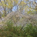 용지호수어울림도서관 이미지