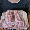 글로벌 단대 태권도장 이미지