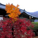 운문사 관광안내소 이미지