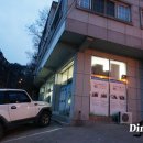 헬로우렙타일 | (초스압주의!) 헬로우 랩타일 방문 및 입양후기!
