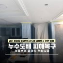 경산 정평동 누수도배 전문가와 함께하는 누수 피해복구과정