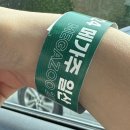 펫제제(PET JEJE) | 메가주 일산 / 펫페어만렙의 첫날 방문 후기