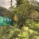 라비스타펜션민박 | [강릉펜션] 강릉에 위치한 감성가득 스파독채펜션 :초록민박(“라”동후기)