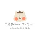 쌍용자동차 양천서비스 프라자 | 목동 염창역 에스테틱 에벤에셀뷰티 피부관리 상체케어 솔직후기