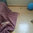 애 방 치우다 혈압이 터질듯해요 이미지