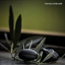 수원시립노인전문요양원 | 파장동요양원 수원시립노인전문요양원 전문성과 믿음의 요양원