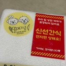 멈머다냥 이미지