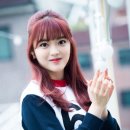 수연 이미지