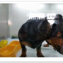 러브닥터24 이미지