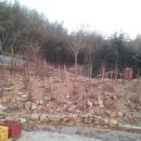 호구농장 이미지