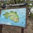 [가본곳후기] 전북 임실 옥정호 붕어섬과 전망 좋은 카페 <애뜨락>
