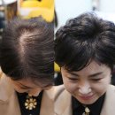 정수리볼륨이 살아있는 중년여성가발 (여우가발 매장후기 W2004)