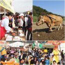 [강원횡성] 제8회 횡성한우축제를 소개합니다. 이미지