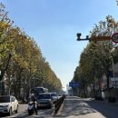 참외전로 이미지