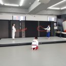 용인대백호태권도장 이미지